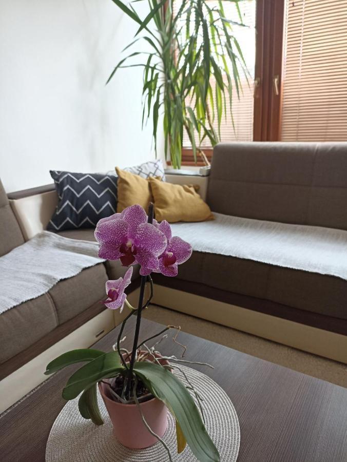 Apartma Bella Casa Free Parking *